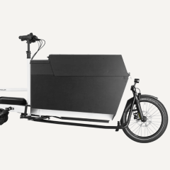 Cargo électriques