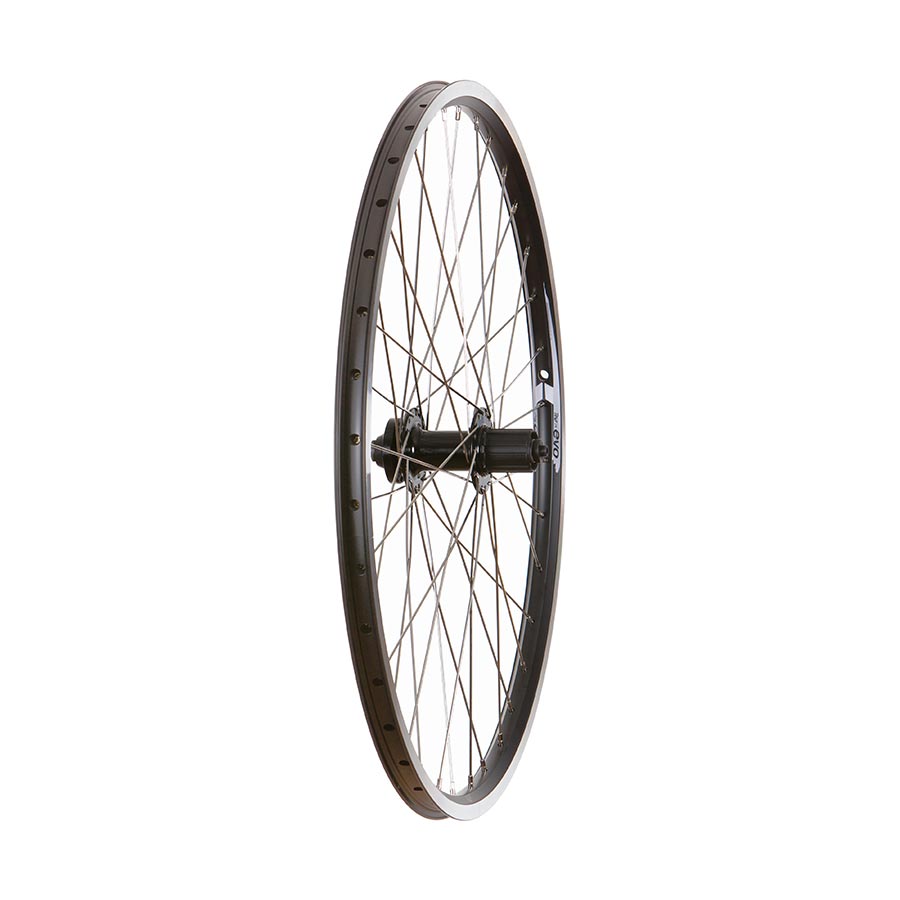 041394-05-26::0::041394-05-26::Wheel Shop, Evo Tour 19 Noir/ Formula DC-22, Roue, Arrière, 26'' / 559, Trous: 36, QR, 135mm, Jante et disque IS 6-boulons, Shimano HG