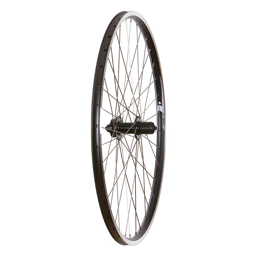 042082-05-700::0::042082-05-700::Wheel Shop, 4PK Evo Tour19, Roue, Arrière, 700C / 622, Trous: 36, QR, 135mm, Jante et disque IS 6-boulons, Shimano HG, 4pcs, 041393-05-700