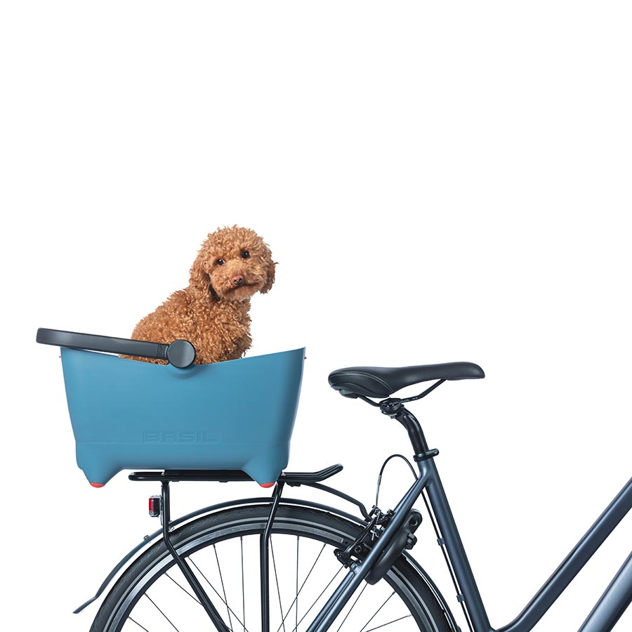 730520-01::5::730520-01::Basil, Buddy Dog, Panier, Bleu