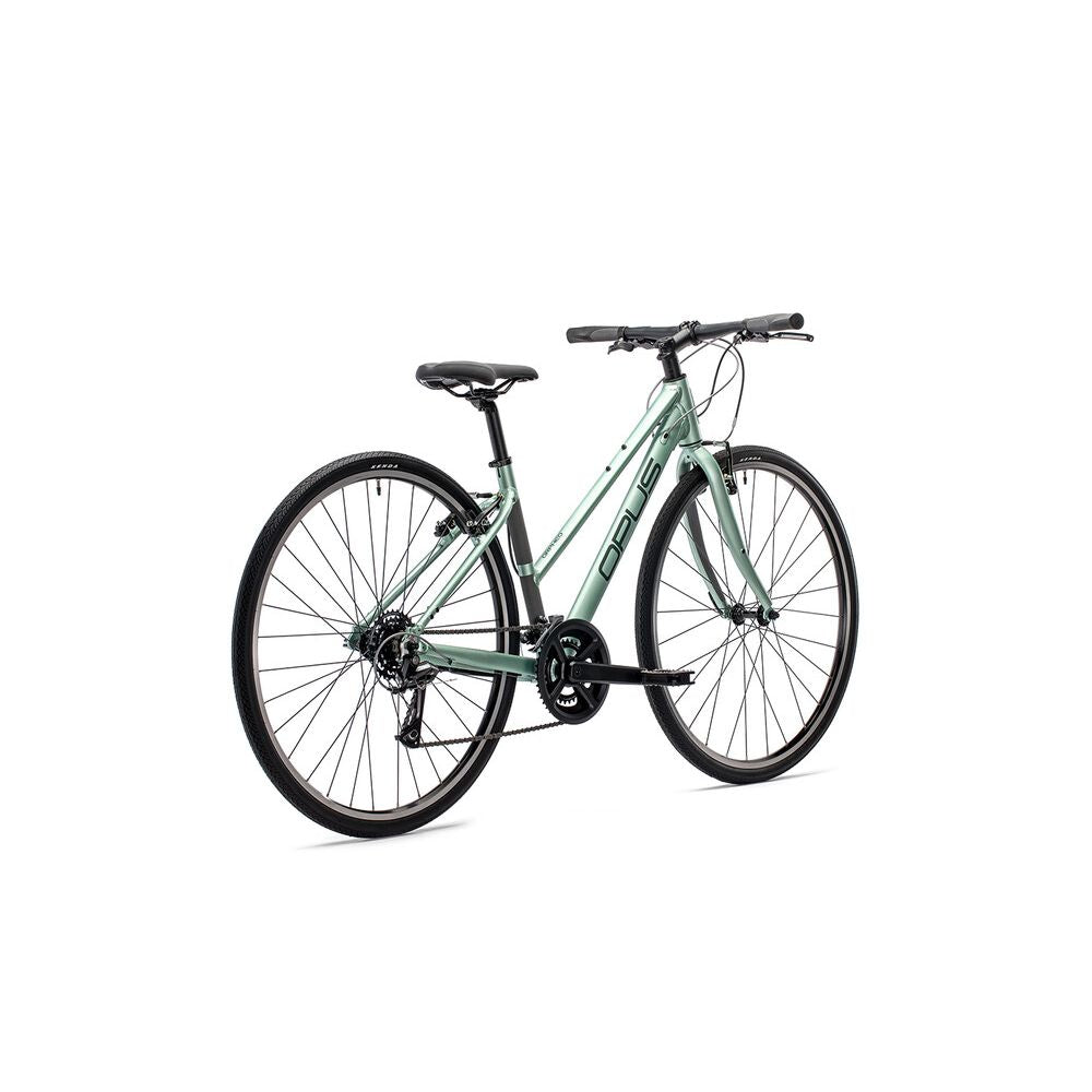 OP-ORP7STSG-S::2::OP-ORP7STSG-S::ORPHEO 7 ST VERT ARGENTÉ PETIT