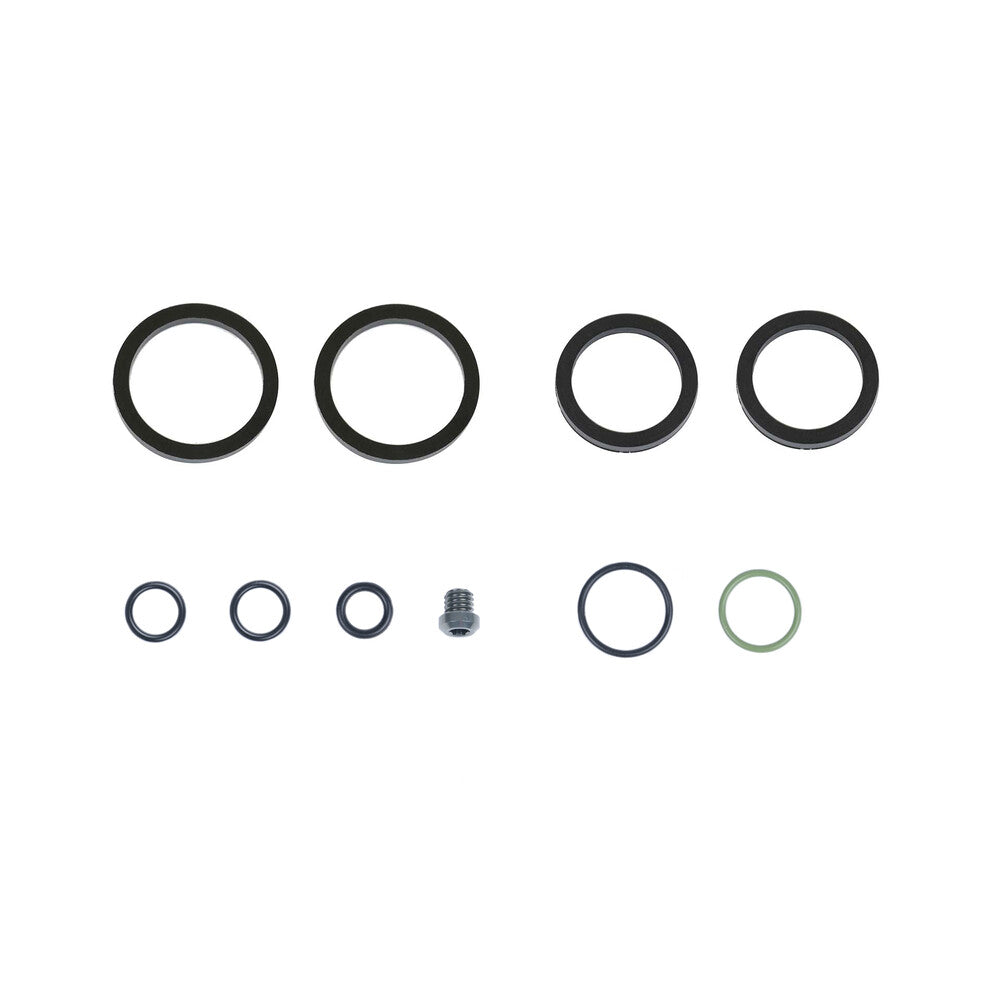 TS-S42XONS::0::TS-S42XONS::KIT SEALS C42 CALIPER OIL ASM