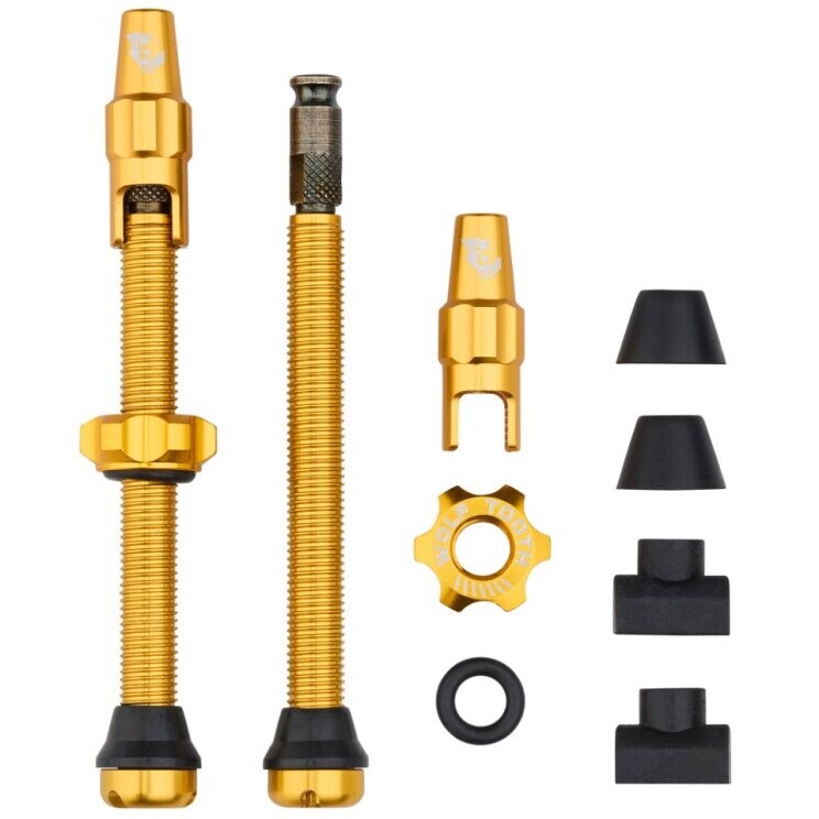 WO-TLV-CLIK60-GLD::0::WO-TLV-CLIK60-GLD::TUBELESS VALVE STEM KIT CLIK 60MM OR