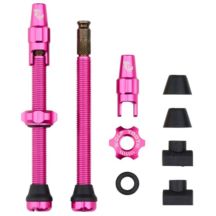 WO-TLV-CLIK60-PNK::0::WO-TLV-CLIK60-PNK::TUBELESS VALVE STEM KIT CLIK 60MM ROSE