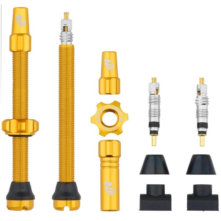 WO-TLV-KIT60-GLD::0::WO-TLV-KIT60-GLD::TUBELESS VALVE STEM KIT 60MM OR