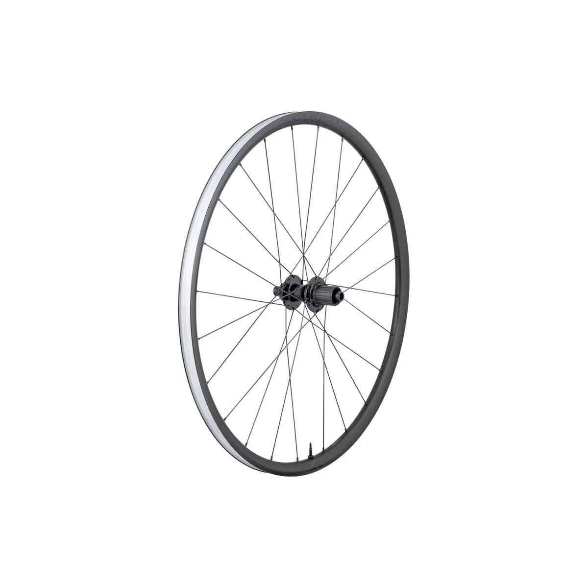 Roue Bontrager Paradigm 23 TLR Disc