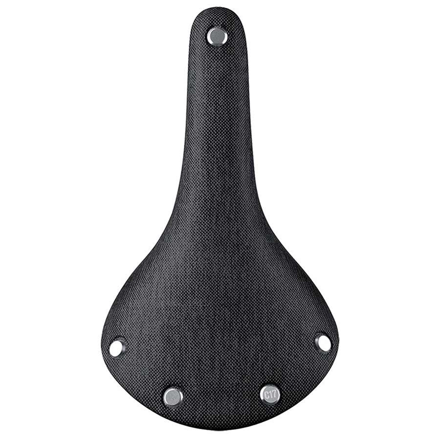 Brooks Cambium C19