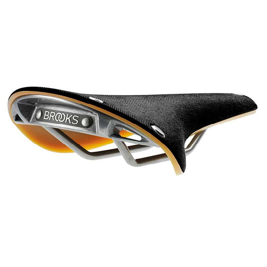 Brooks Cambium C19