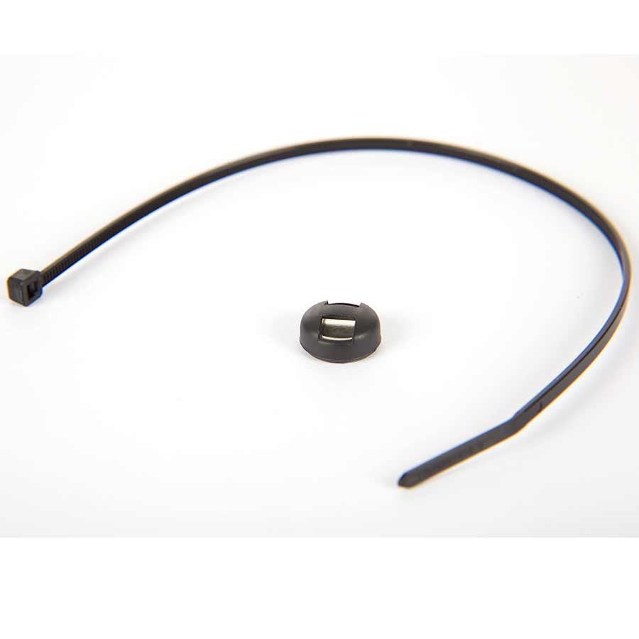 Cat Eye Cadence Magnet