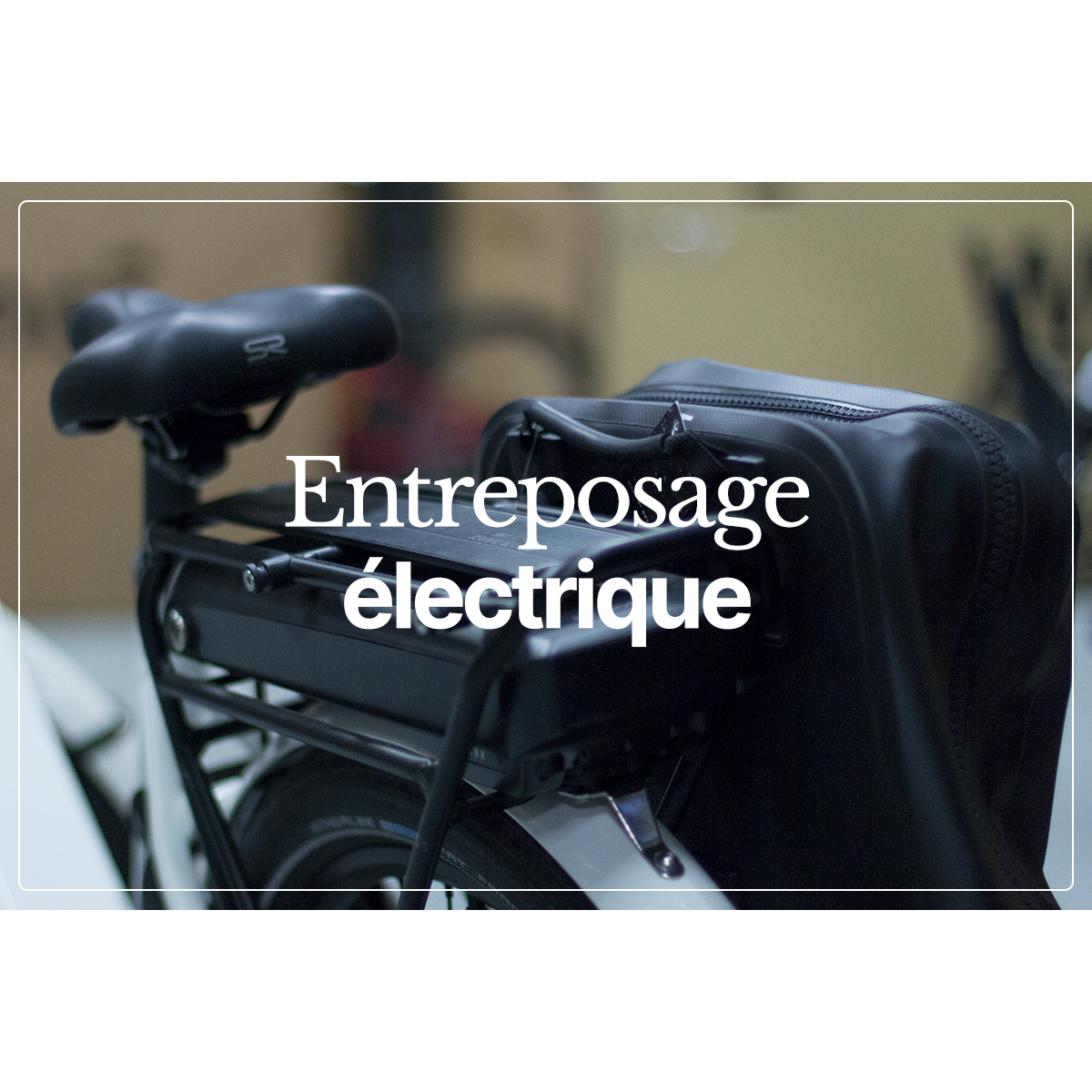 Electric storage