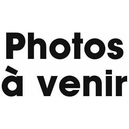 Varia manivelle gauche 170mm acier noir