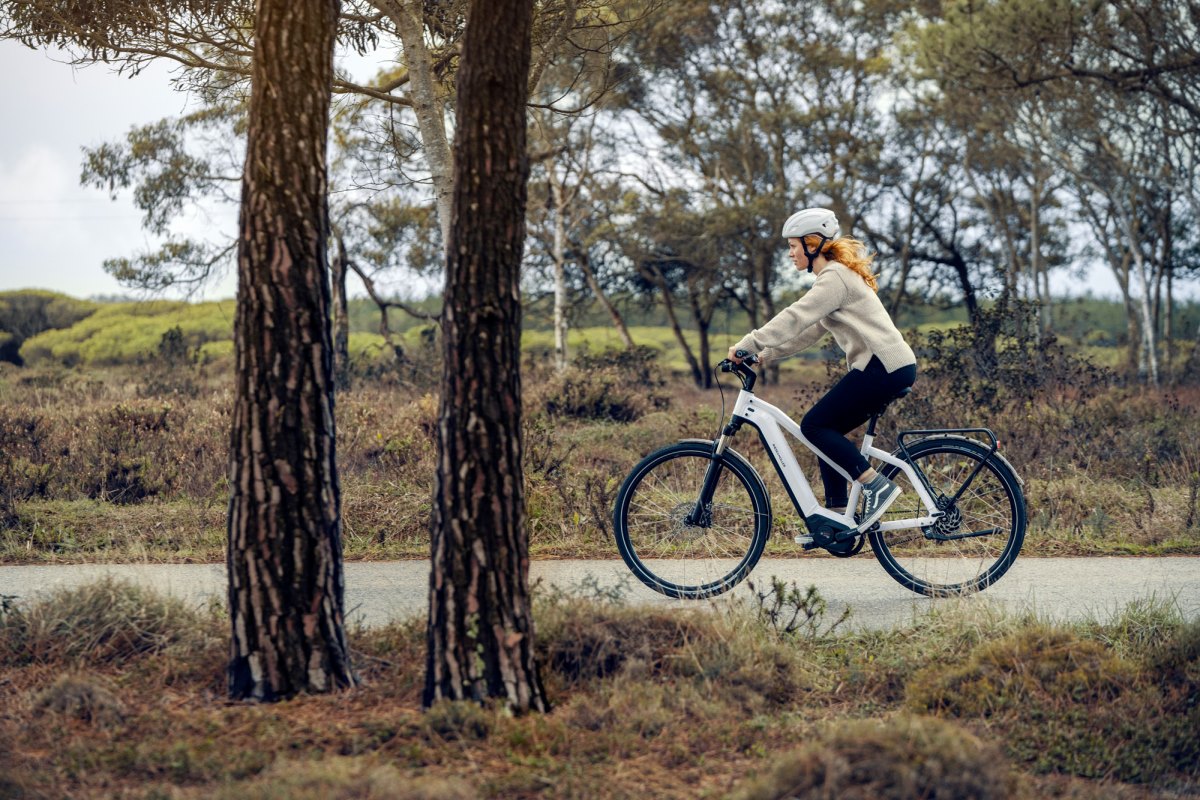 Découvrez les vélos électriques: Riese & Müller