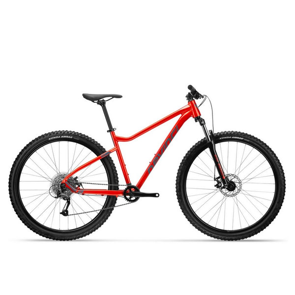 Devinci Riff Altus 8S