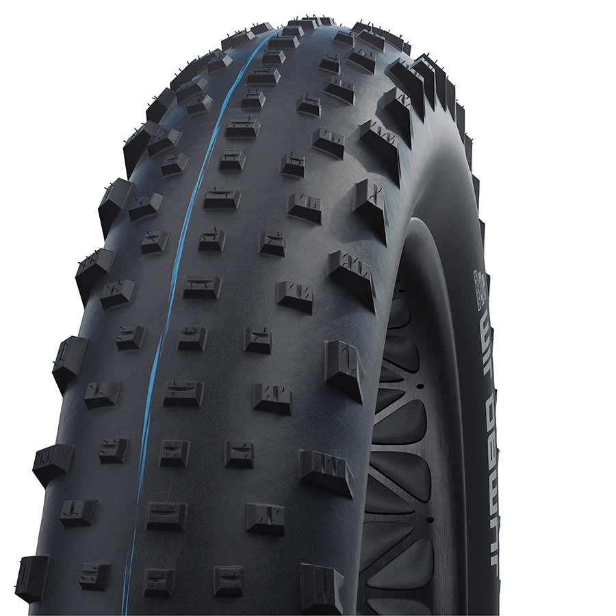 011629-05-26::0::011629-05-26::Schwalbe, Jumbo Jim Evo, Pneu, 26''x4.80, Pliable, Tubeless Ready, Addix Speedgrip, SnakeSkin, 127TPI, Noir