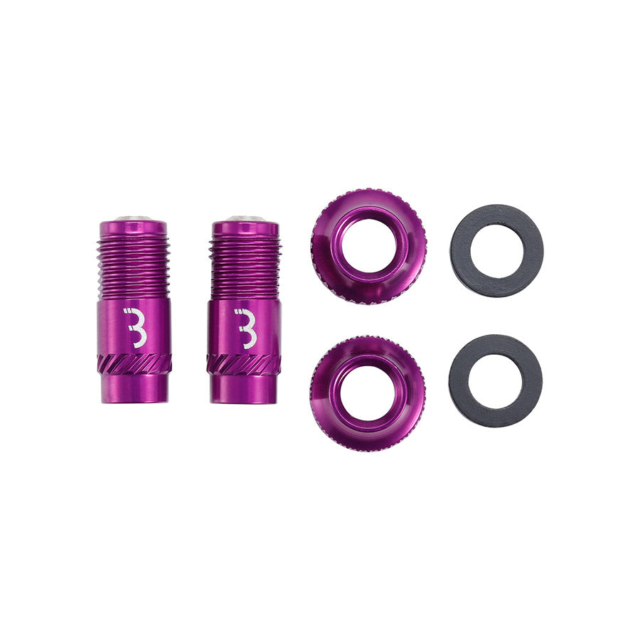 030301-05::2::030301-05::BBB Cycling, BTI-165 CoreCap, Valve Tubeless, Violet, Paire