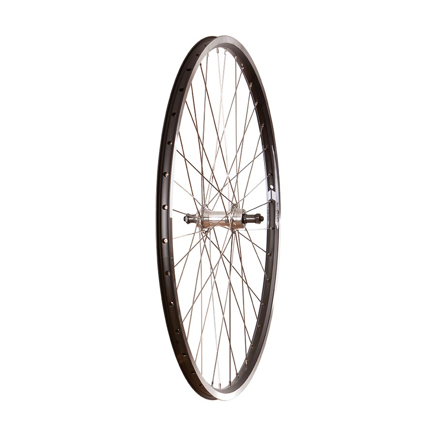 041393-04-700::0::041393-04-700::Wheel Shop, Evo Tour 19 Noir/ Formula FM-31-QR, Roue, Arrière, 700C / 622, Trous: 36, QR, 135mm, Sur jante, Roue libre