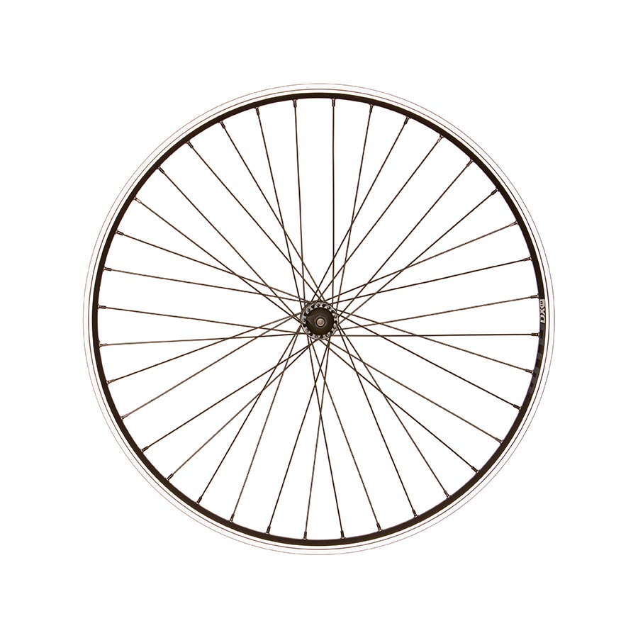 041810-01-26::1::041810-01-26::Wheel Shop, WTB DX18, Roue, Avant, 26'' / 559, Trous: 36, Boulons, 100mm, Sur jante
