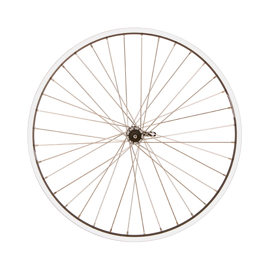 041820-01-26::1::041820-01-26::Wheel Shop, Evo Tour 20, Roue, Avant, 26'' / 559, Trous: 36, QR, 100mm, Sur jante