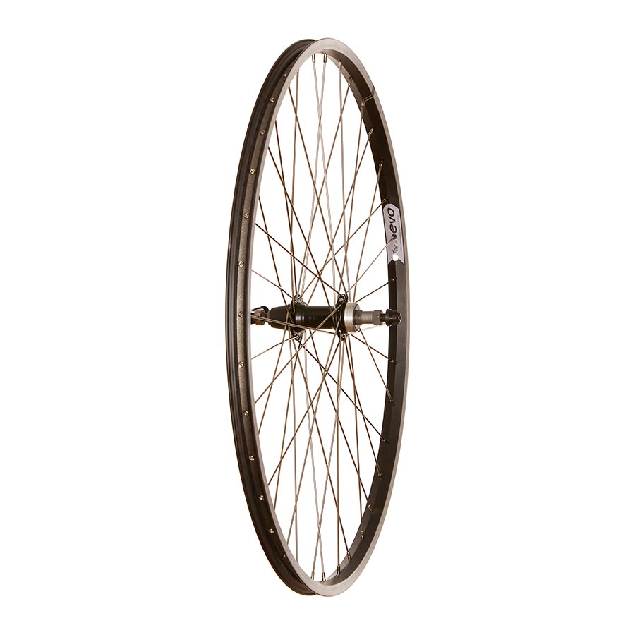 041821-02-700::0::041821-02-700::Wheel Shop, Evo Tour 20, Roue, Arrière, 700C / 622, Trous: 36, QR, 135mm, Sur jante, Roue libre