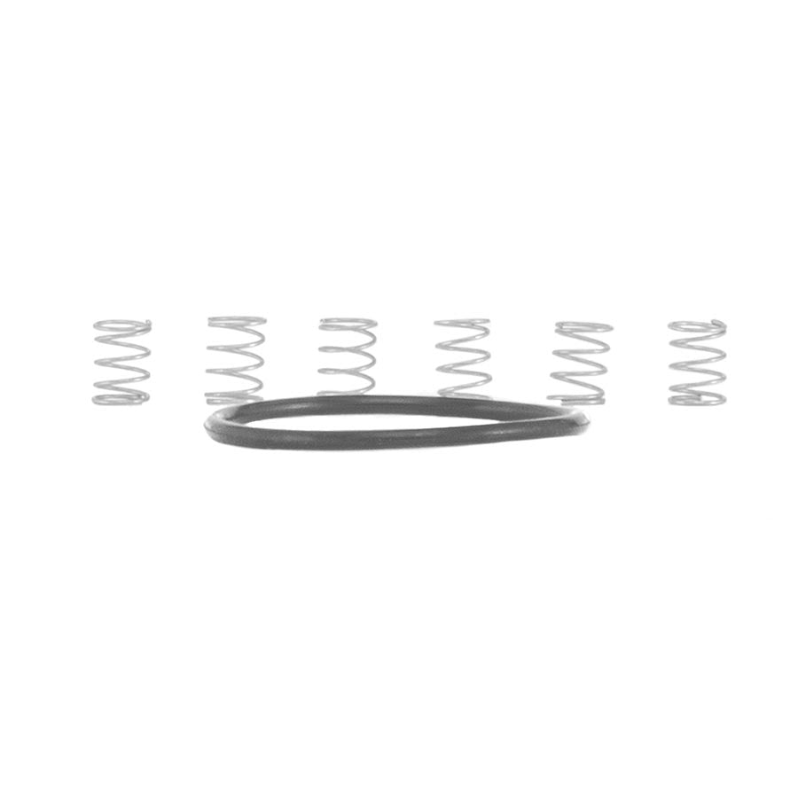 091094-01::0::091094-01::Industry Nine, Ressort pour cliquet de corps de moyeu TORCH MTN