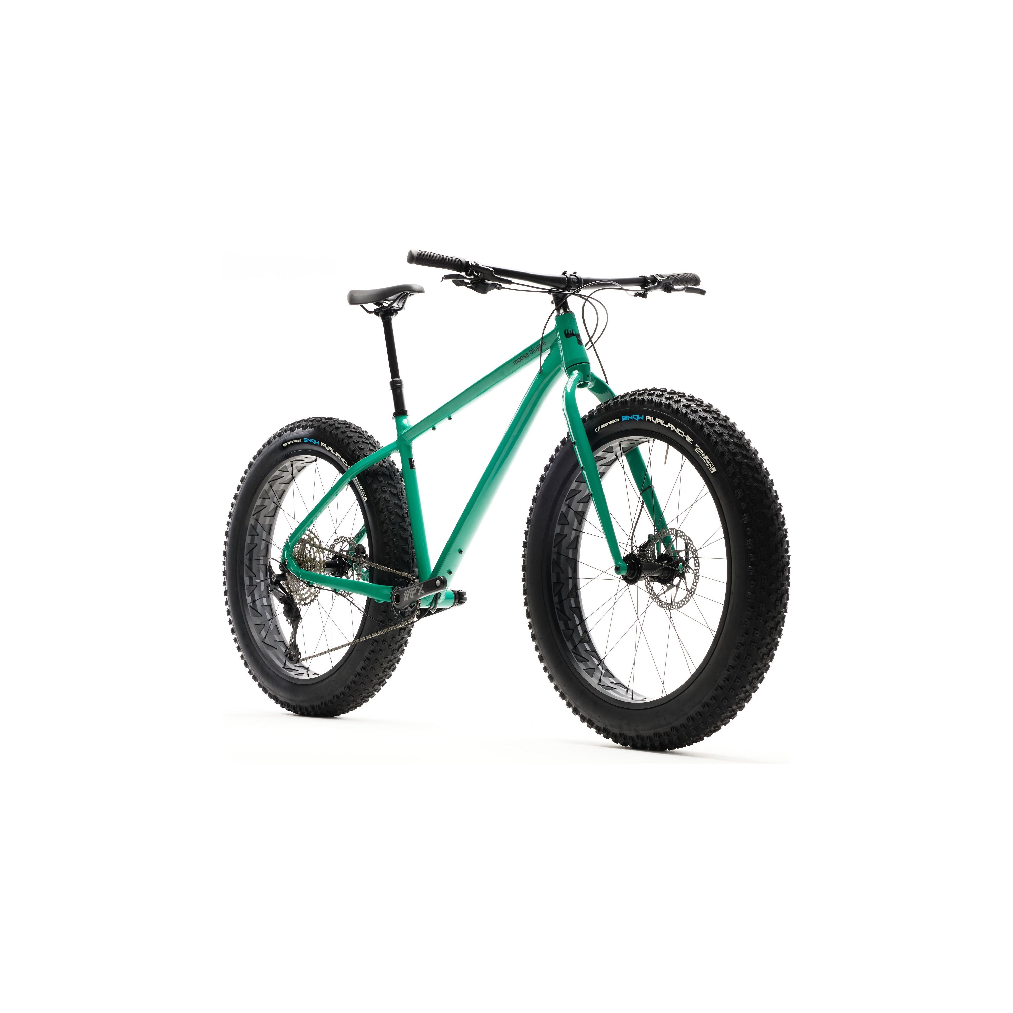 Moose Bicycle FB2 2025