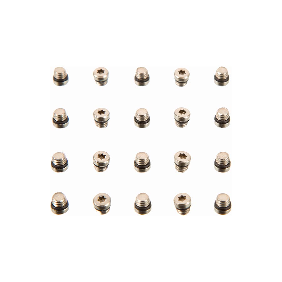 201001-01::0::201001-01::SRAM, Vis de purge, 20pcs