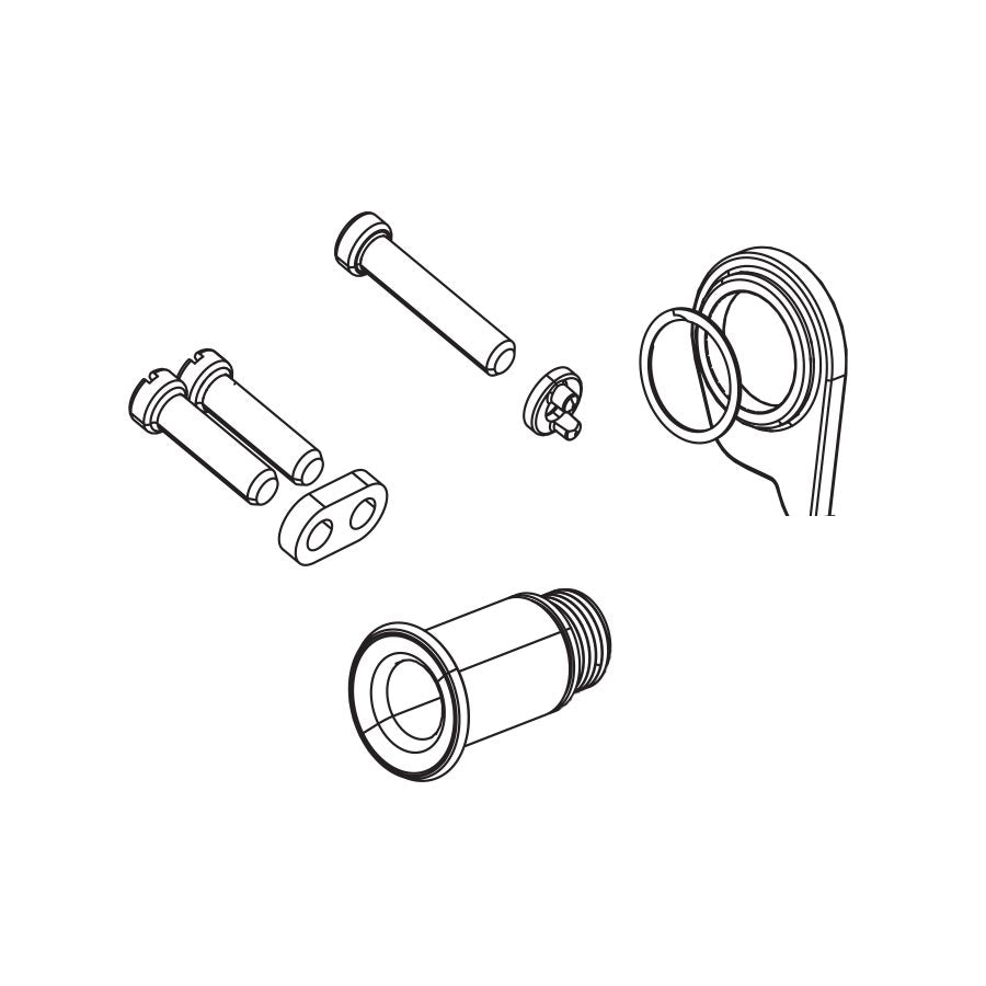 270931-01::0::270931-01::SRAM, Vis de pivot B et vis de butées pour XX1, 11.7518.081.000