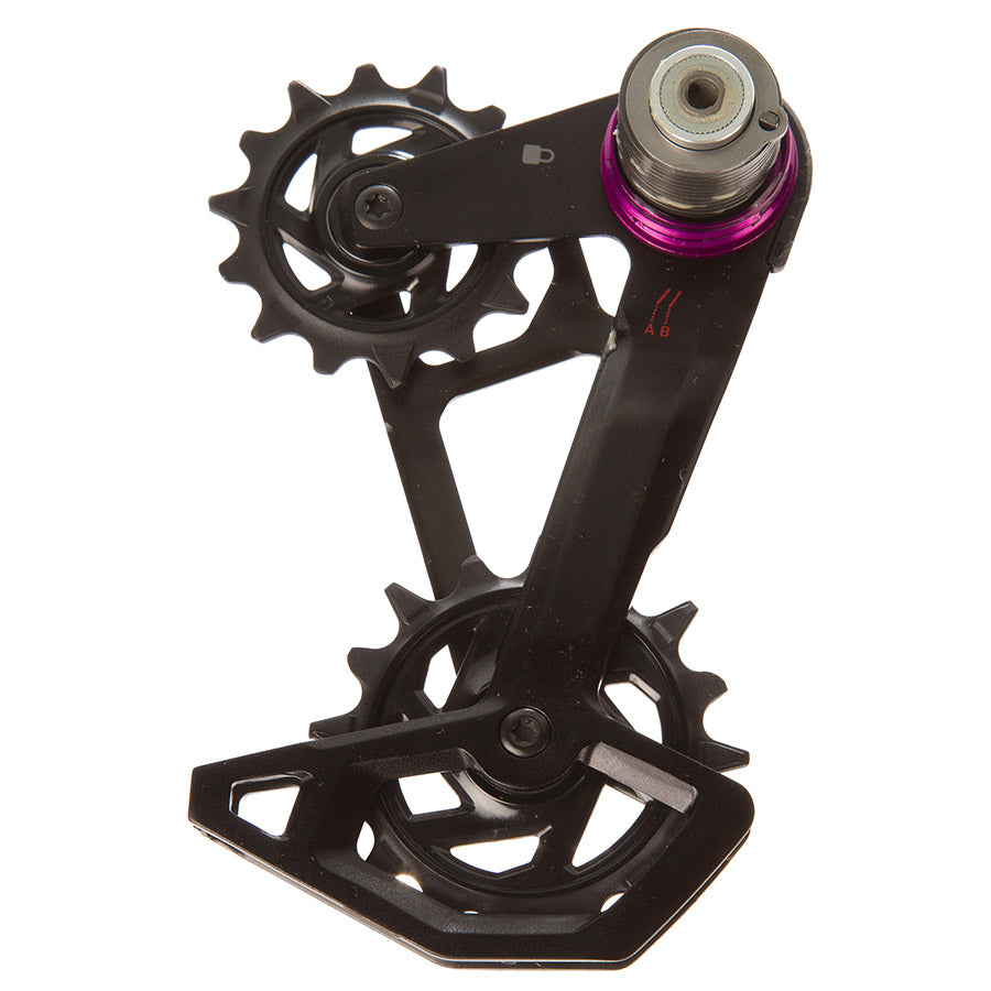 270989-01::0::270989-01::SRAM, Cage pour GX Eagle T-Type