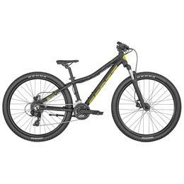 Scott Roxter 26 Disc 2025