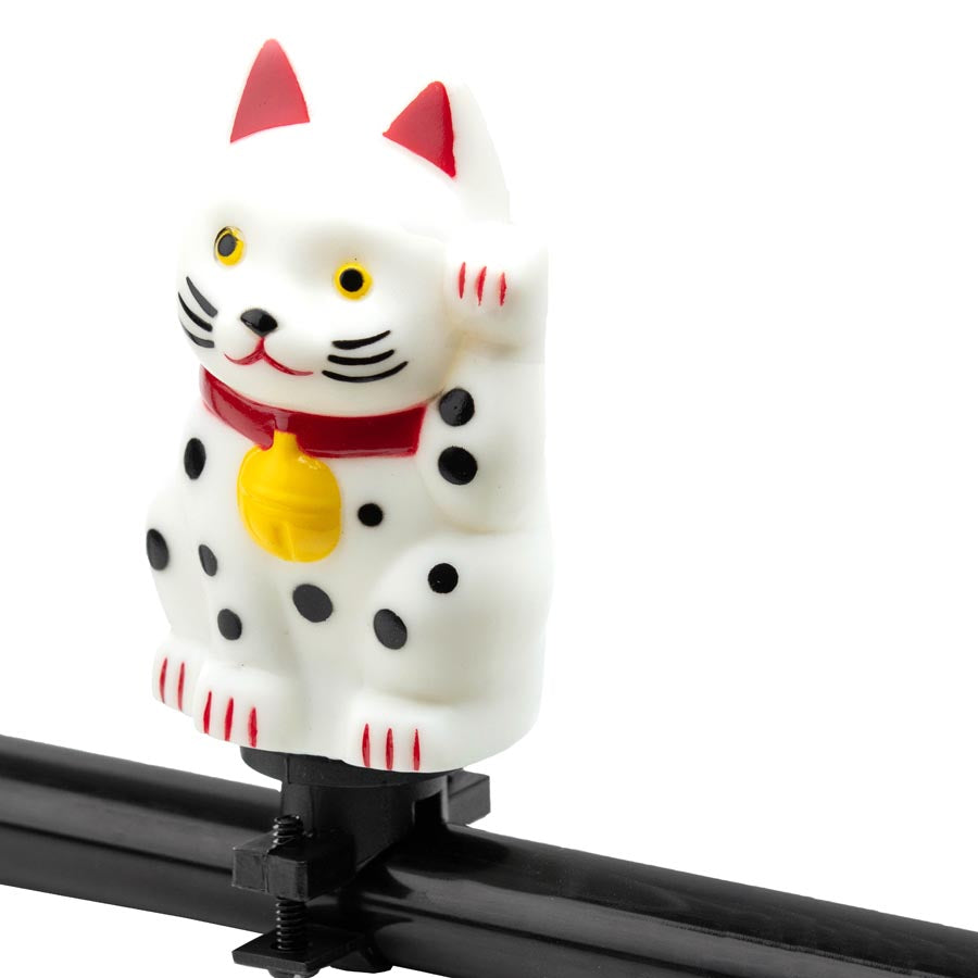 640791-03::0::640791-03::EVO, Honk, Honk, Chaton