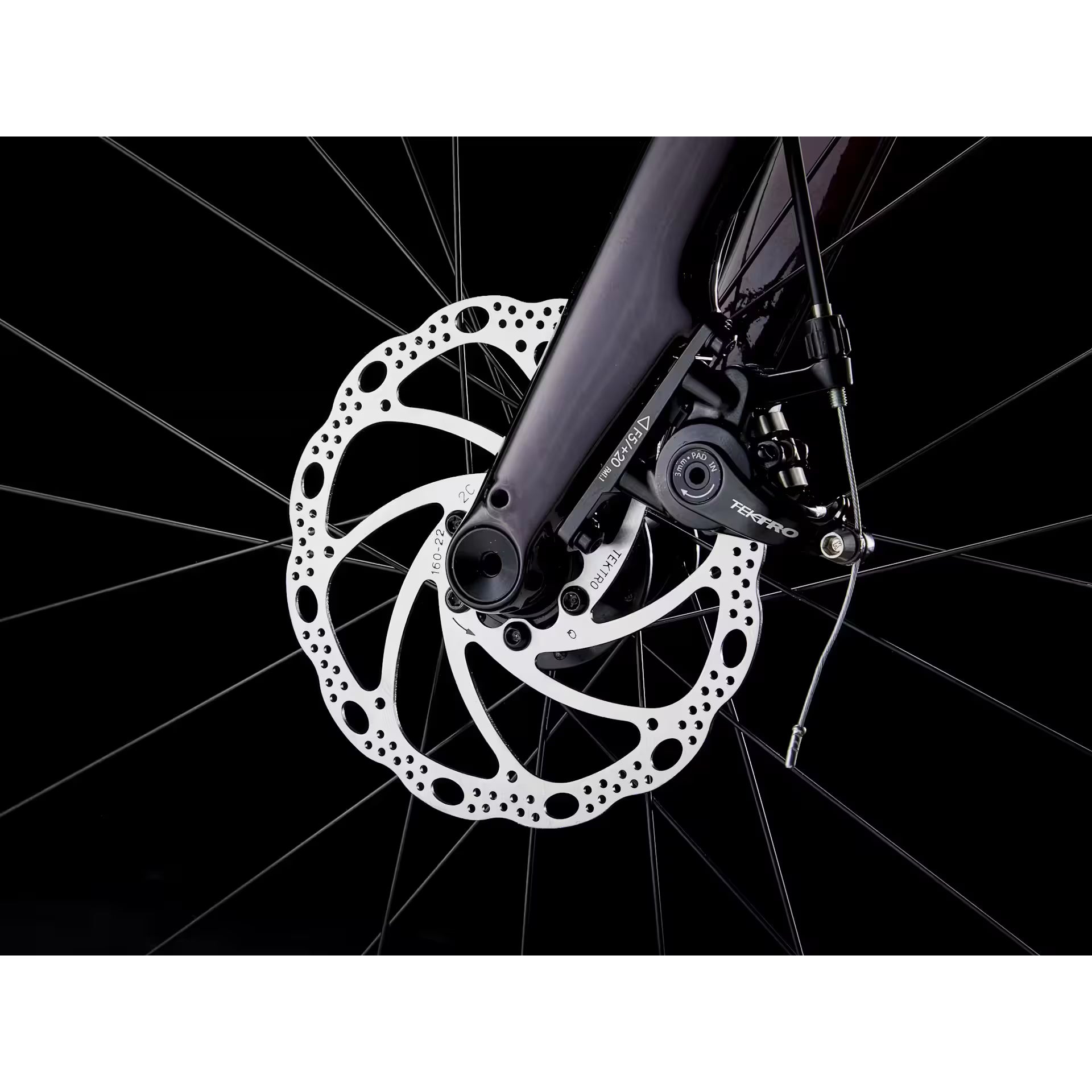 Trek Domane AL2 2026
