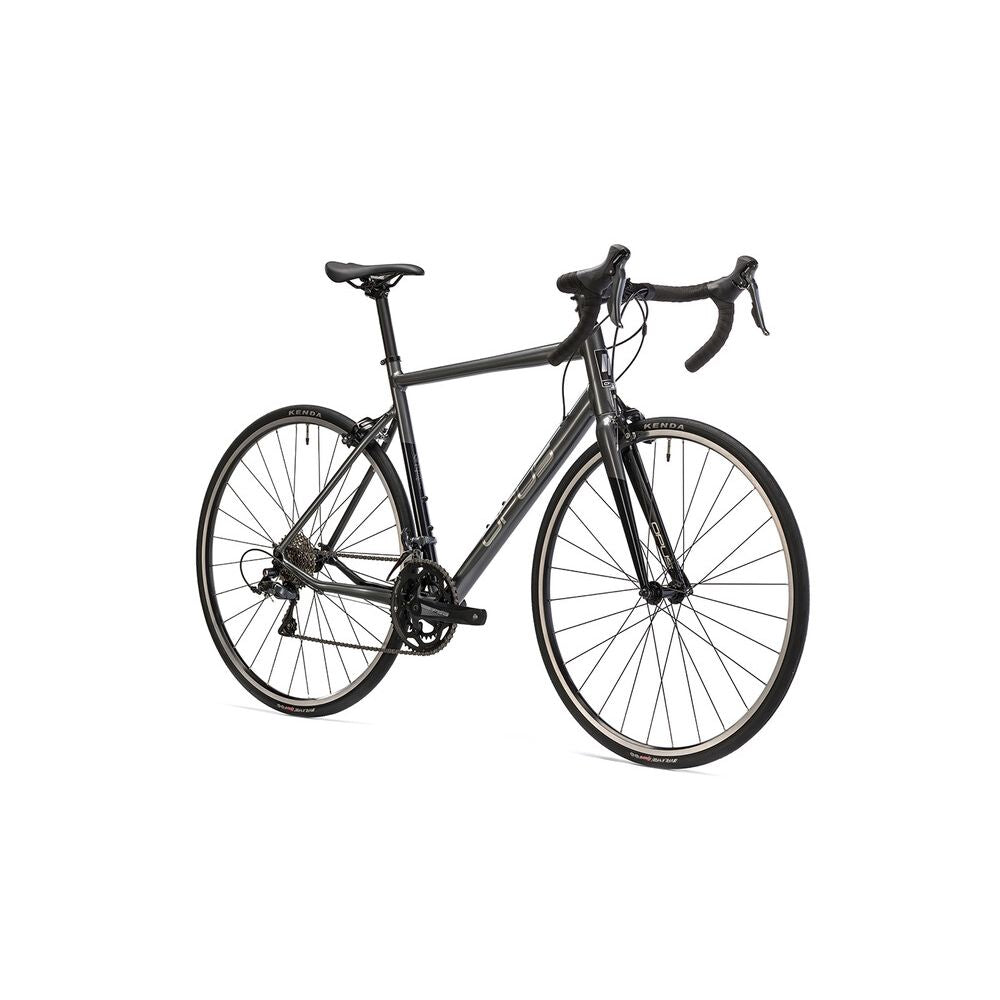 OP-FORCLAGR-L::1::OP-FORCLAGR-L::FORTITUDE CLARIS GRIS LARGE