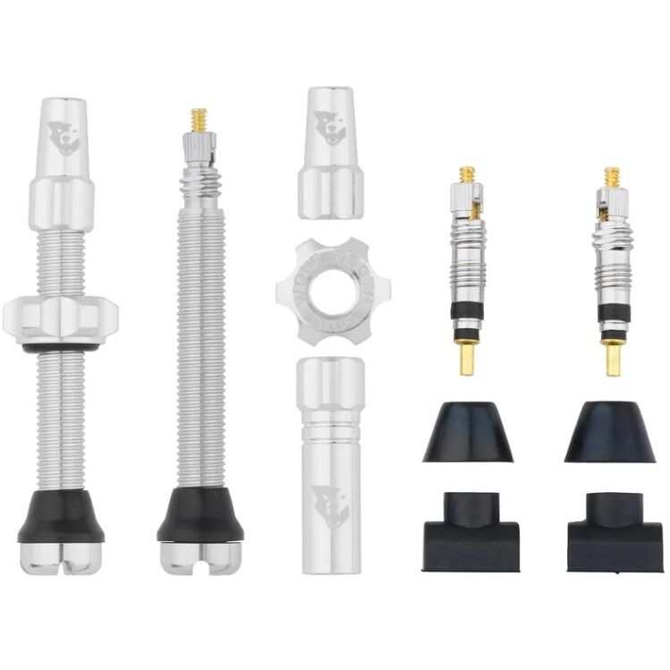 WO-TLV-KIT44-RSIL::0::WO-TLV-KIT44-RSIL::TUBELESS VALVE STEM KIT 44MM RAW ARGENT