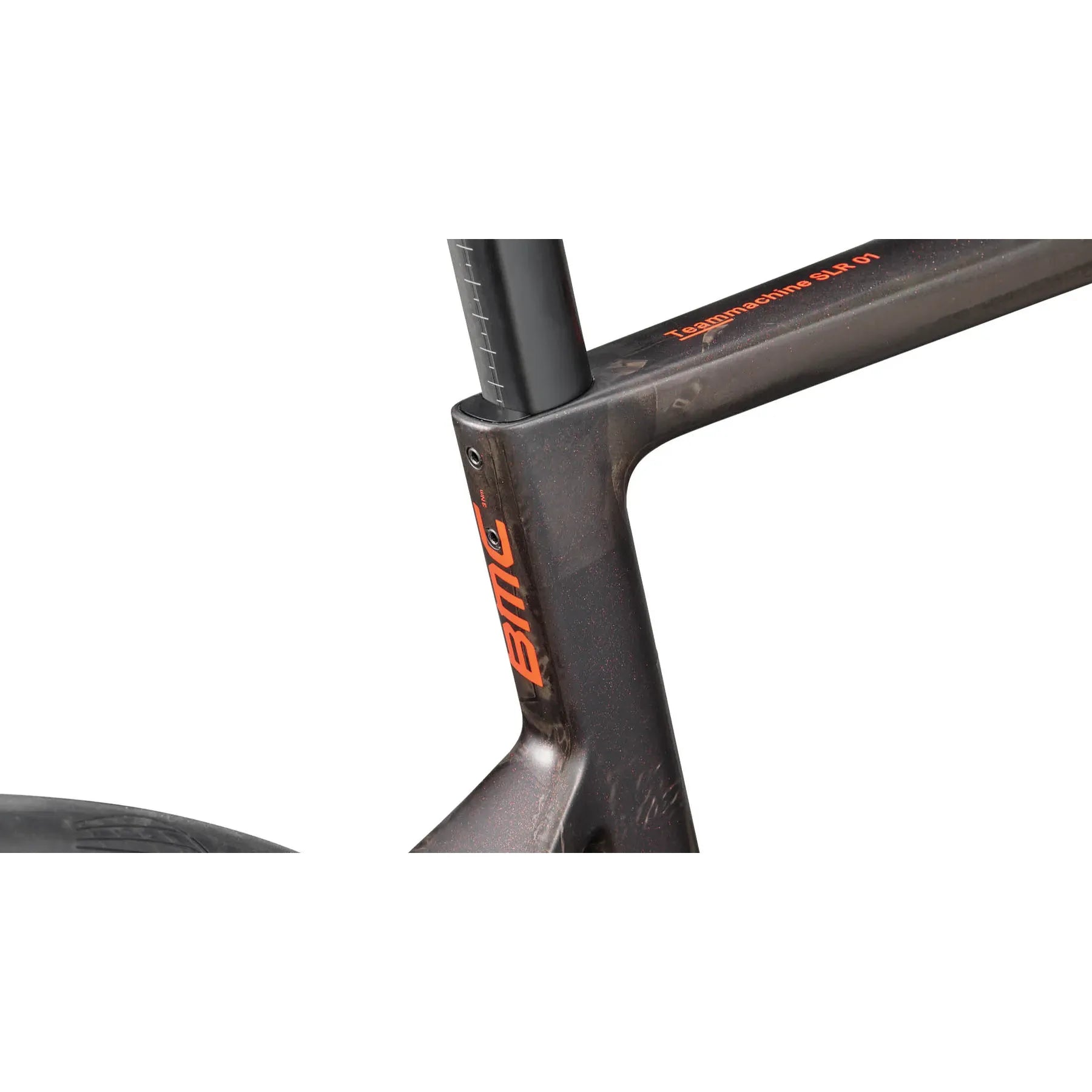 BMC Teammachine SLR 01 Six 2026