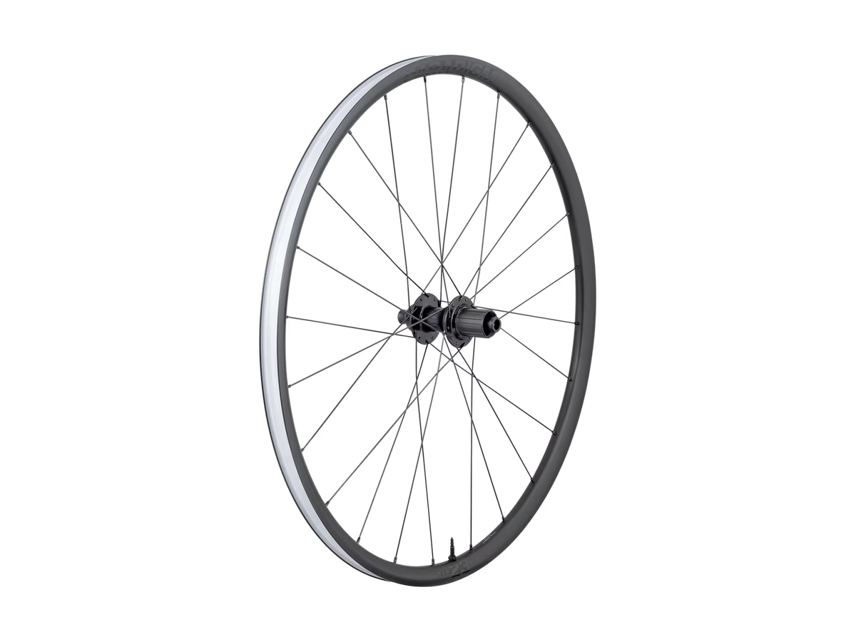 Roue Bontrager Paradigm 23 TLR Disc