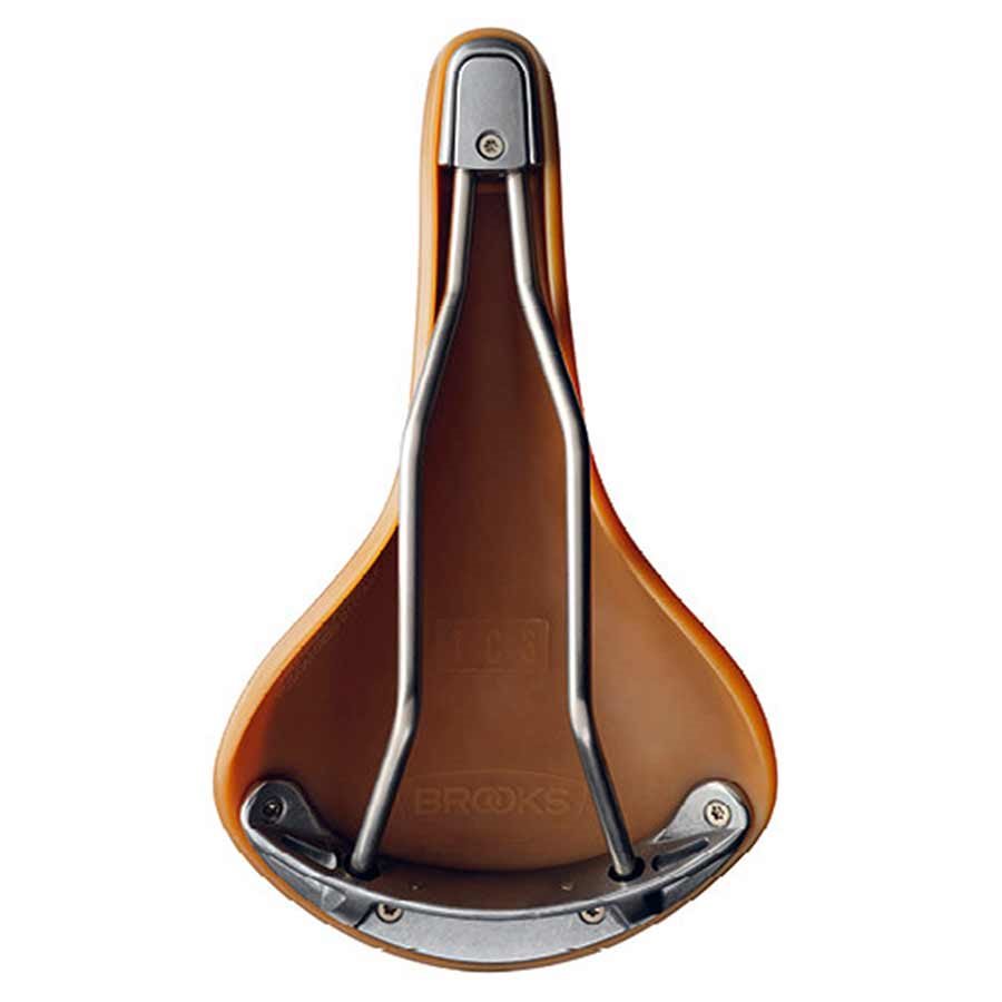 Brooks Cambium C19